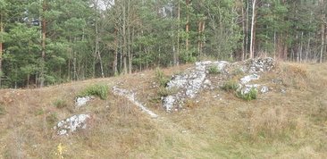 Parki i ogrody ziemi wieluńskiej - Załęczański Park Krajobrazowy - jeden z najpiękniejszych parków w Polsce, bo otulający zakole Warty